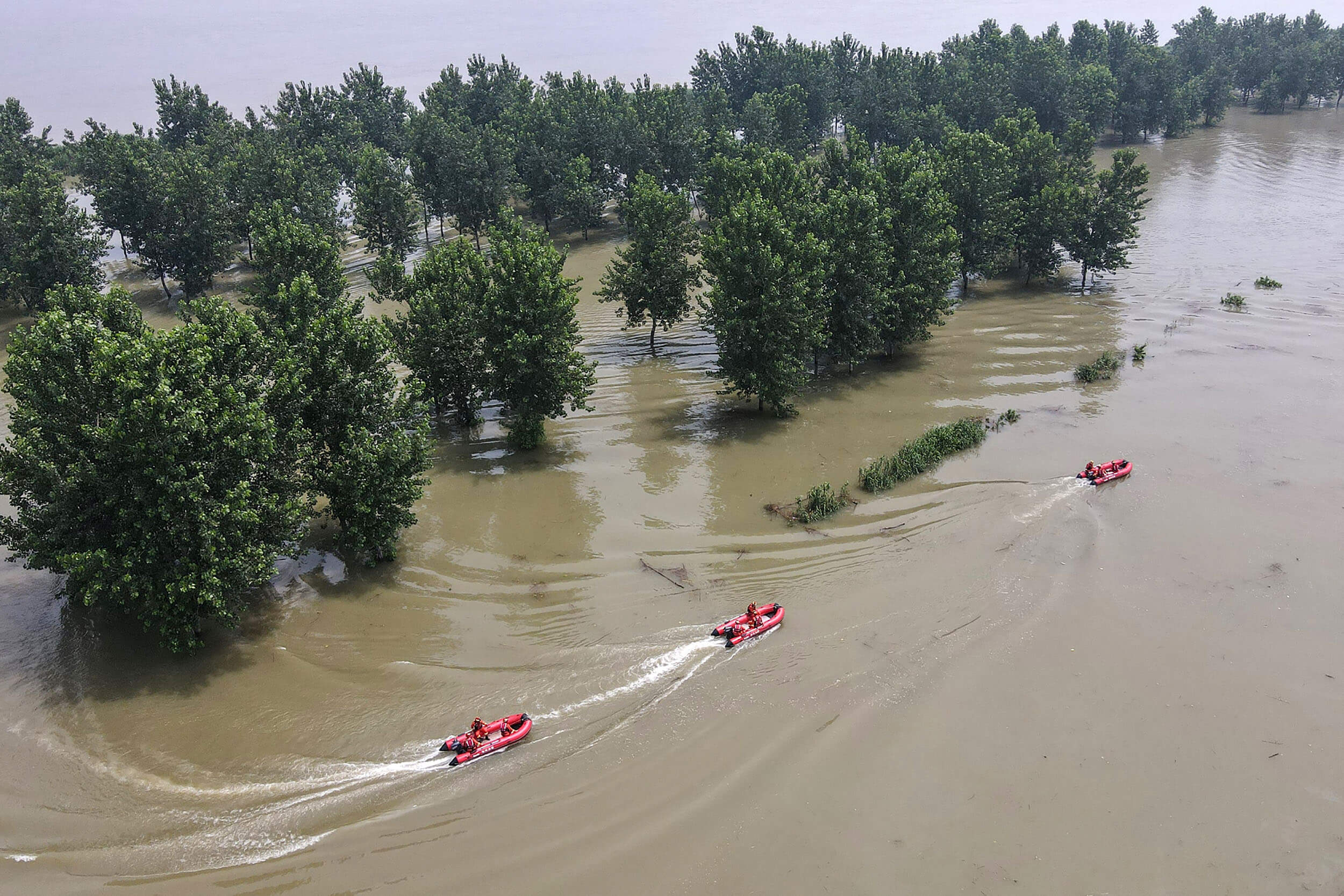 Floods Threaten China’s Cereal Crops Amid Global Food Inflation Concerns